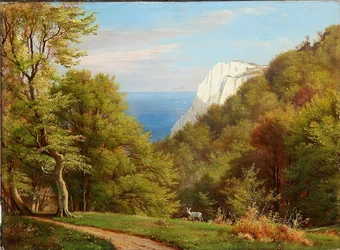 Zomerdag bij Møns Klint